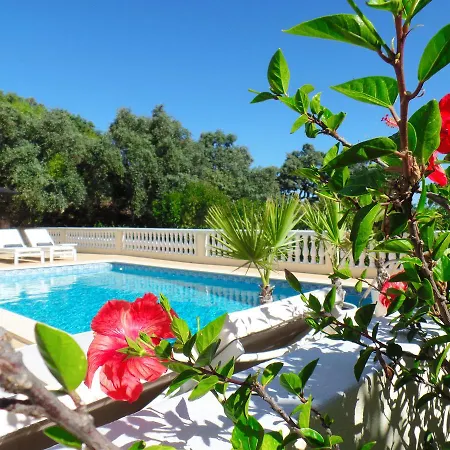Panoramic Paradise B&B *