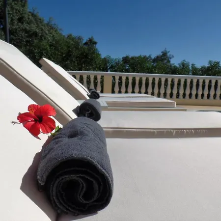 Panoramic Paradise 사우 브라스 드 알포르텔