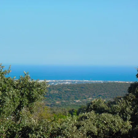 B&B Panoramic Paradise *