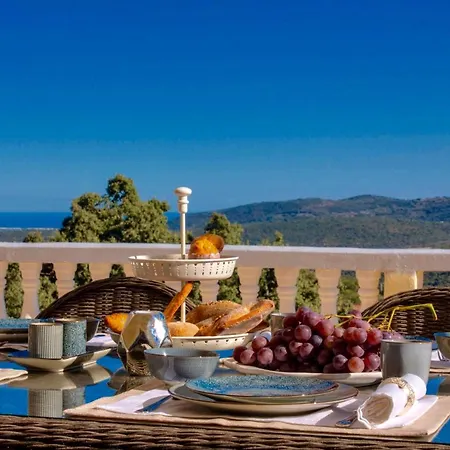 B&B Panoramic Paradise *